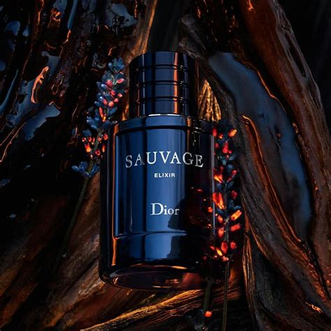 dior sauvage elixir for men|cheapest sauvage elixir 100ml.